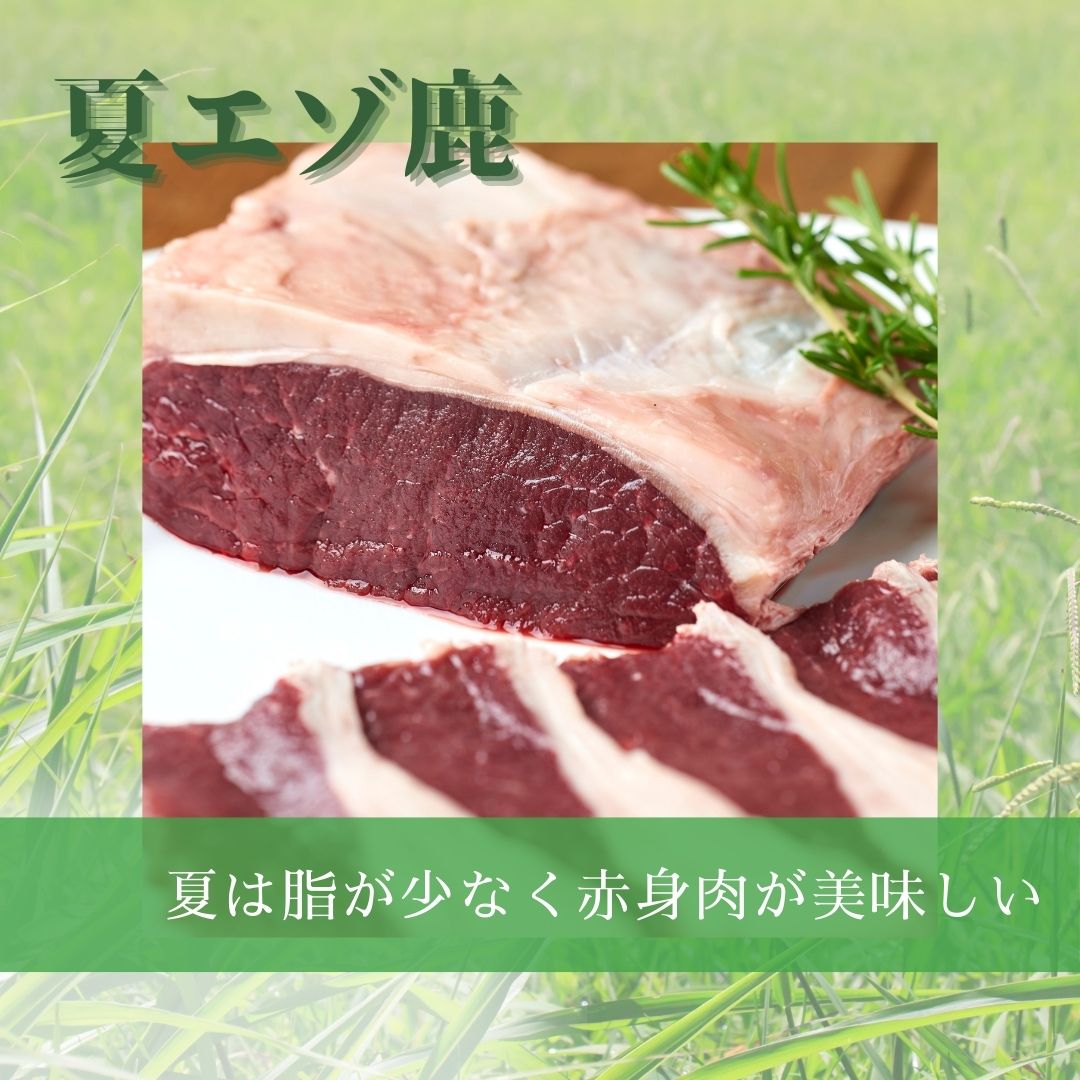 夏エゾ鹿_instagram.jpg