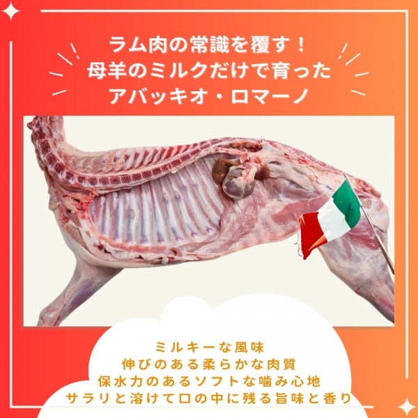 アバッキオロマーノ_instagram.jpg