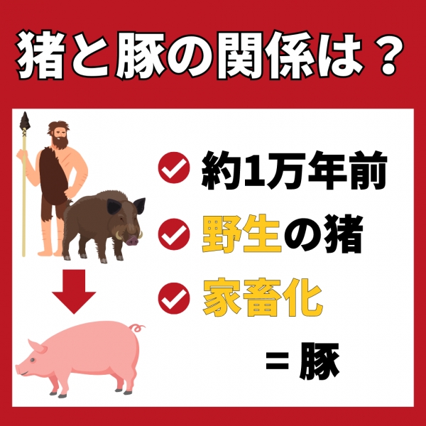 株式会社Noblesse Oblige 深いコク【国産イノブタ】甘くとろける脂