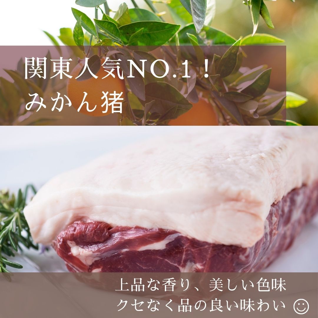 みかん猪_instagram.jpg