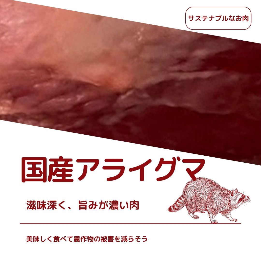 アライグマ_instagram.jpg