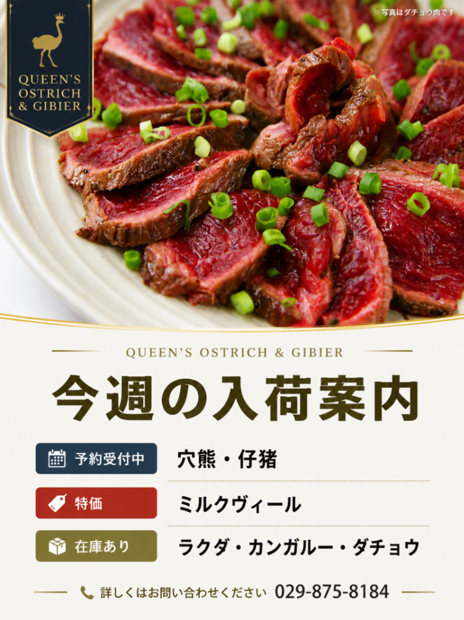 20260820 snsレター