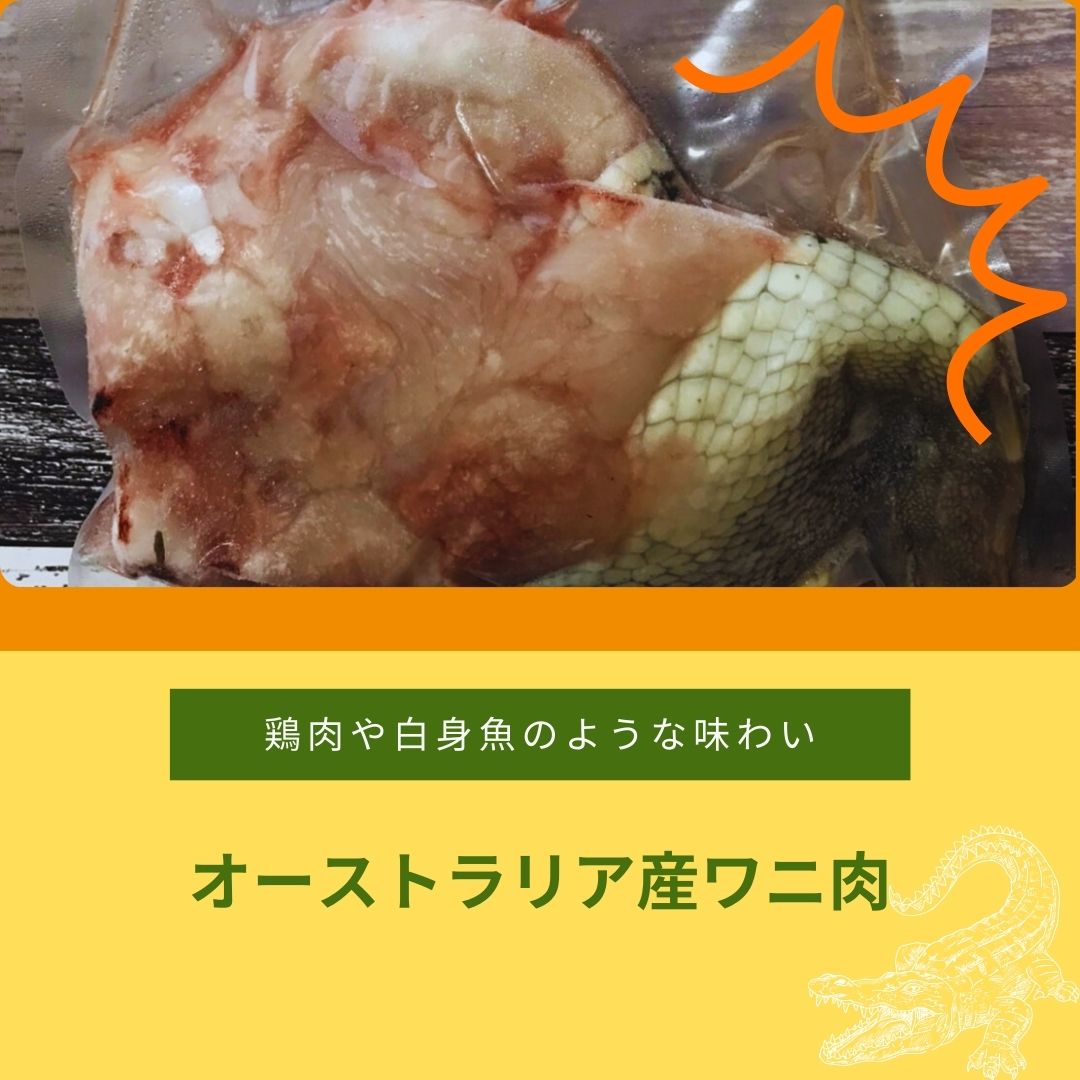 ワニ肉_instagram.jpg