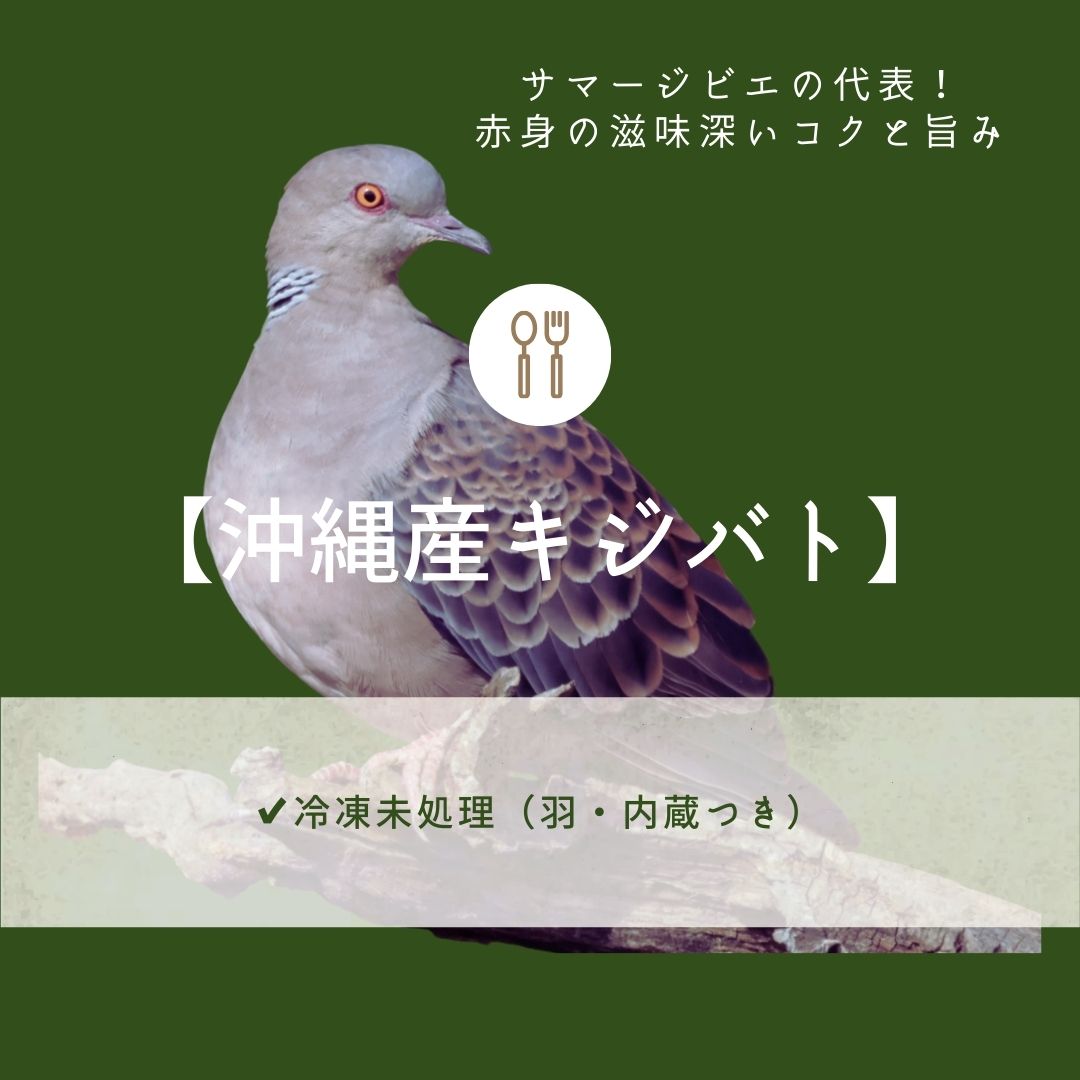 沖縄産キジバト肉_instagram.jpg