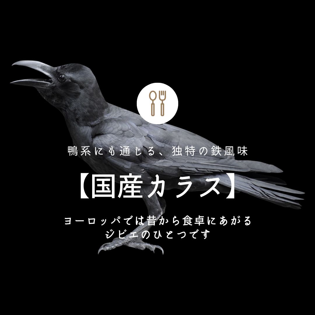 カラス肉_instagram.jpg