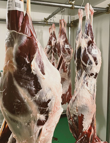 肉