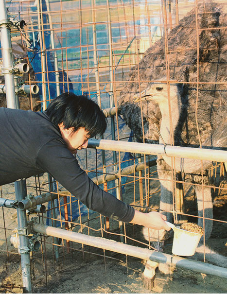 飼育